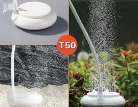 SỦI ĐĨA OXY SIÊU MỊN HT50