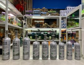 BÌNH CO2 VAN INOX 1KG-1,5KG-2KG-3KG 