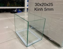 HỒ KÍNH VIỆT NHẬT 30x20x25CM (DXRXC)