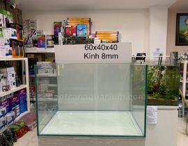 HỒ KÍNH VIỆT NHẬT 60x40x40CM (DXRXC)