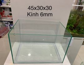 HỒ KÍNH VIỆT NHẬT 45x30x30CM (DXRXC)