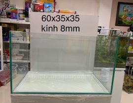 HỒ KÍNH VIỆT NHẬT 60x35x35CM (DXRXC)