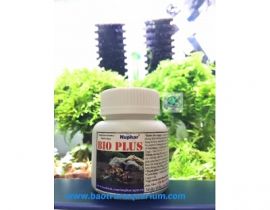 VI SINH BỘT BIO PLUS NUPHAR 