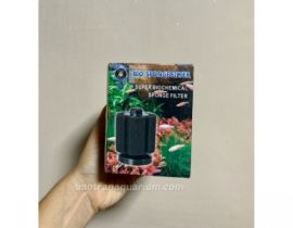 LỌC HƠI BIO